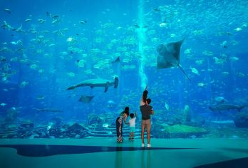 三亚包车一日游丨包车/接送机+景点任选+私人定制行程【关于行程：上门接送，行程轻松自由，私人订制旅程，给您带来开心的旅程！】