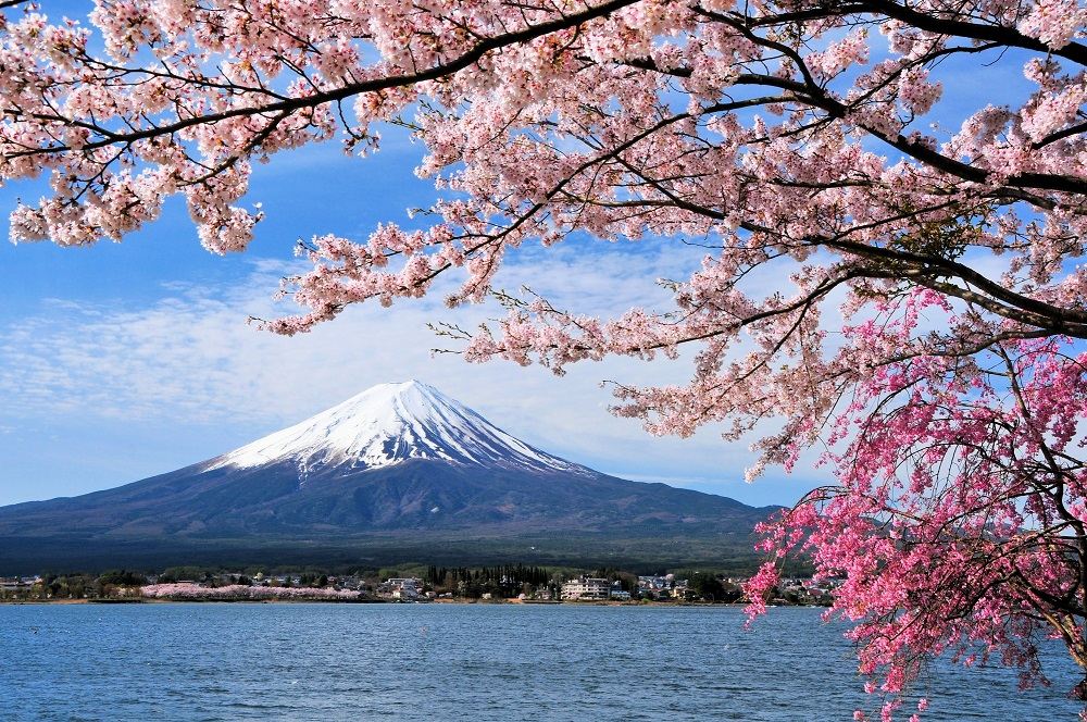 富士山五合目 富士急乐园一日游 富士山五合目 富士急3次券 乐园餐厅套餐 线路推荐 携程玩乐
