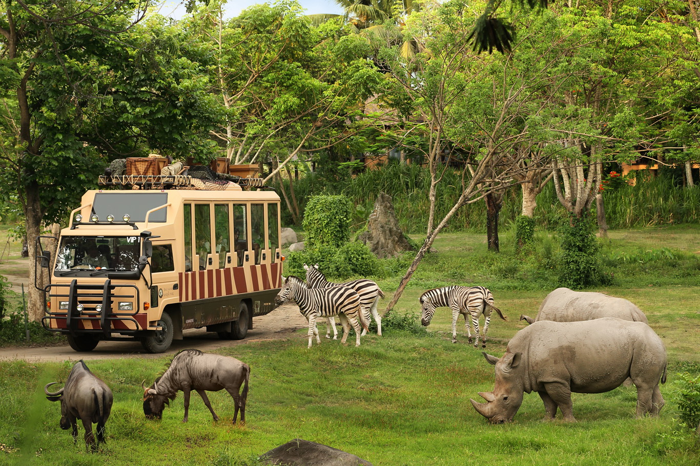 巴厘 野生动物园 Safari Journey1