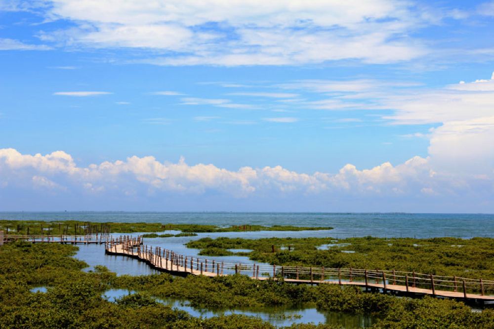 北海 古渔村渔家生活体验 生态风光一日游【捕鱼虾踩螺 红树林 特色