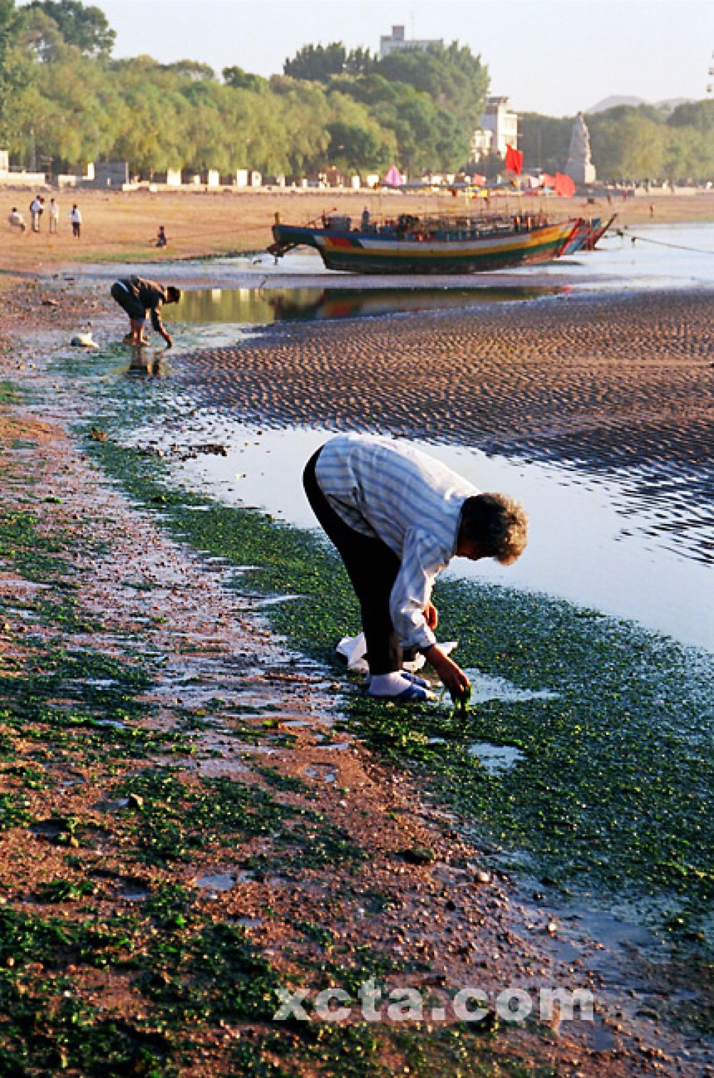 觉华岛 兴城海滨自由行一日游【8:40普船】
