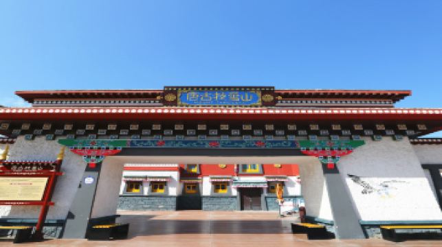 datongfangtetanggulaxueshan2