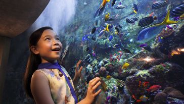 Asian girl Aquarium