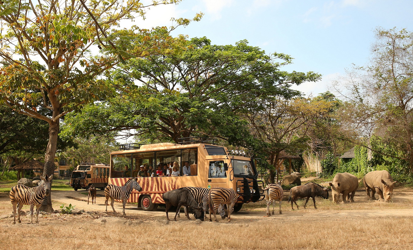 巴厘 野生动物园 Safari Journey2