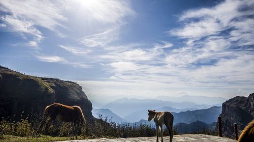 黑龍江哈爾濱雞冠山一日遊有氧登山森林氧吧週末發車哈爾濱出發