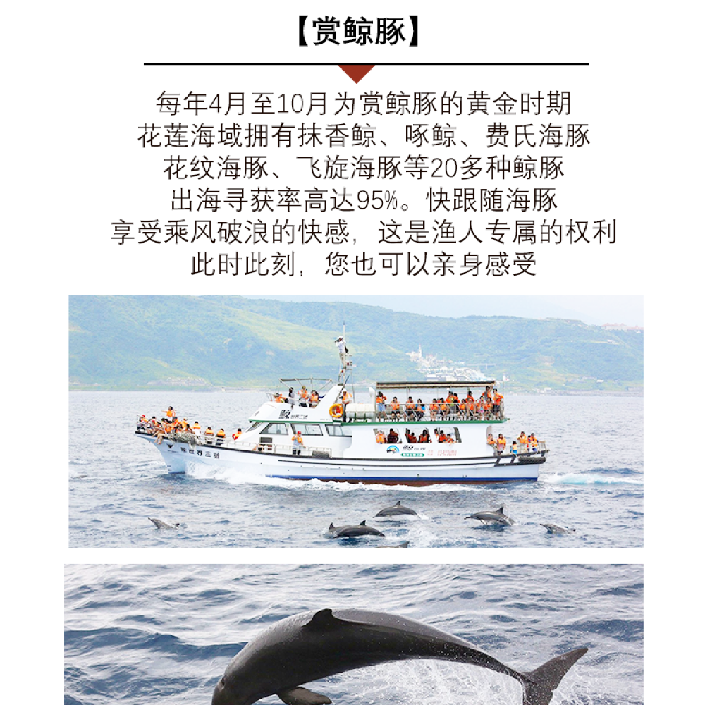 太鲁阁国家公园 清水断崖 七星潭风景区一日游 花莲出海赏鲸豚一人成行 天天发车 季节限定 线路推荐 携程玩乐 太鲁阁国家公园 清水断崖 七星潭风景区一日游 花莲出海赏鲸豚一人成行 天天发车 季节限定 线路推荐 携程玩乐