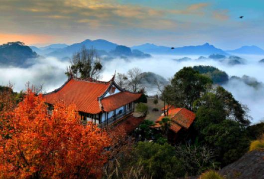 保证有竹筏+武夷山+九曲溪竹筏+天游峰+导游讲解+品茗一日游【1人起订，行程可定制更自由。】