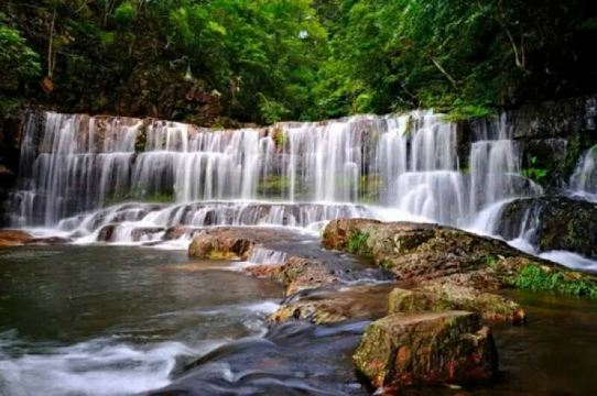 中华茉莉园九龙瀑布群国家森林公园一日游柳州往返