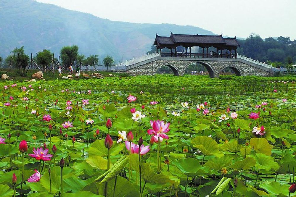 陝西丹鳳商於古道棣花文化旅遊景區一日遊棣花古鎮桃花谷賞花一日遊