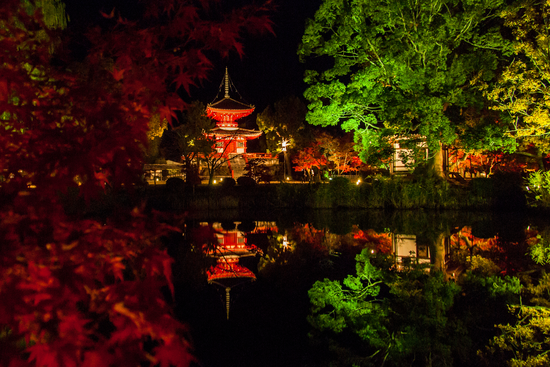 京都大觉寺 宝严院 夜间点灯赏枫 汤豆腐晚餐夜游【红叶季限定