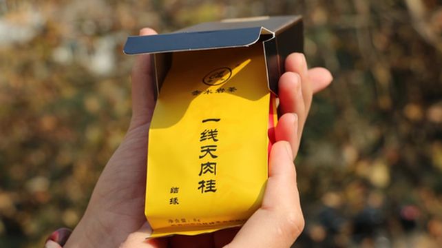 武夷山岩茶 | 一线天肉桂 | 净重125克