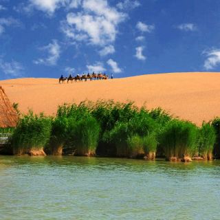 沙湖生態旅遊區門票價格多少錢-團購票價預定優惠-景點地址圖片