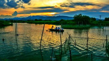 大雁山+古劳水乡游船一日游【登高远眺水乡游