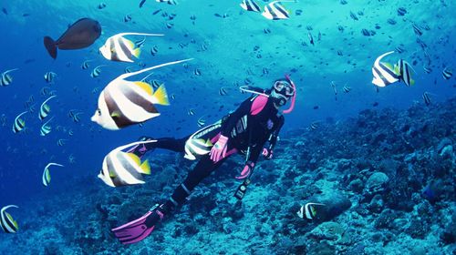 芽庄黑岛潜水体验一日游【清澈水域+珊瑚保护区+可选浮潜\/深潜】线路推荐【携程玩乐】