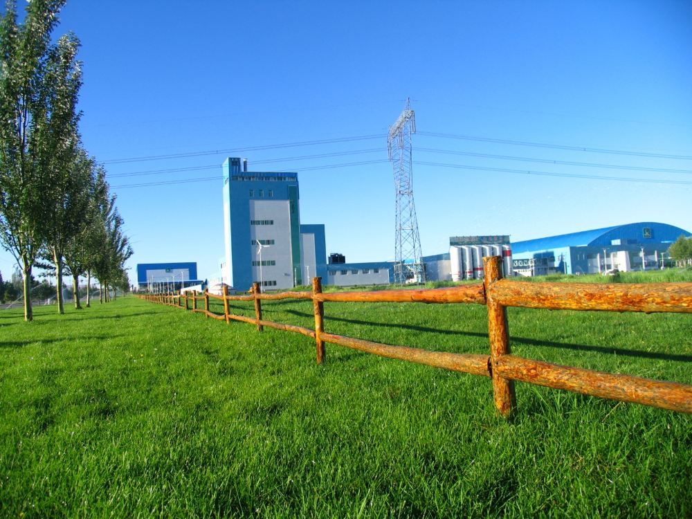 内蒙古呼和浩特蒙牛工业旅游景区一日游盛乐百亭园呼和浩特出发踏青