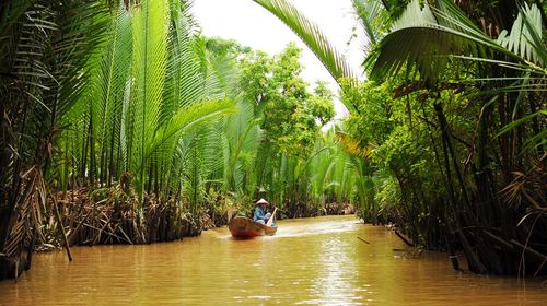 越南胡志明市越式风情一日游【中文或英文导游