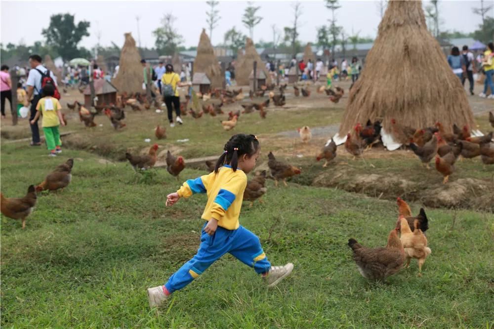 中国广东佛山宝苞农场一日游一日游线路推荐