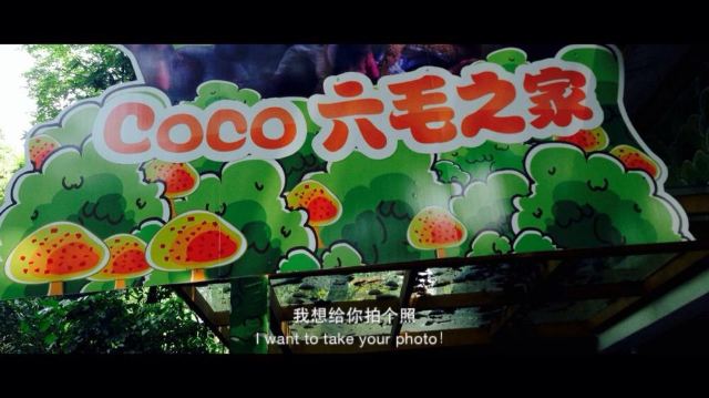 可以近距离观赏coco和六毛还有很多萌萌的小动物宝宝,体验区小朋友