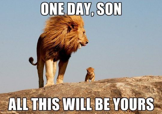 怎么看小狗的mbti CghzfVS0feeAFD3OAAC2jV2dSdE782_R_600_10000.jpg