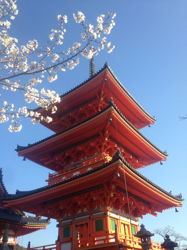 (京都清水寺)