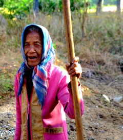 旅游游记,游记攻略,精品\/热门\/最新游记推荐