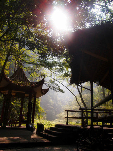 文星岩-石峰极像了鲁迅头像,鲁迅先生是文坛巨星,因此,人们把它叫作"