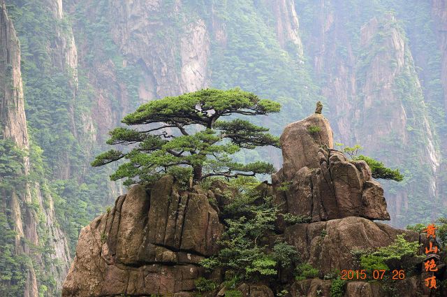 长焦拍的奇石,上面的松树,及那块很小的石头.特点十足.