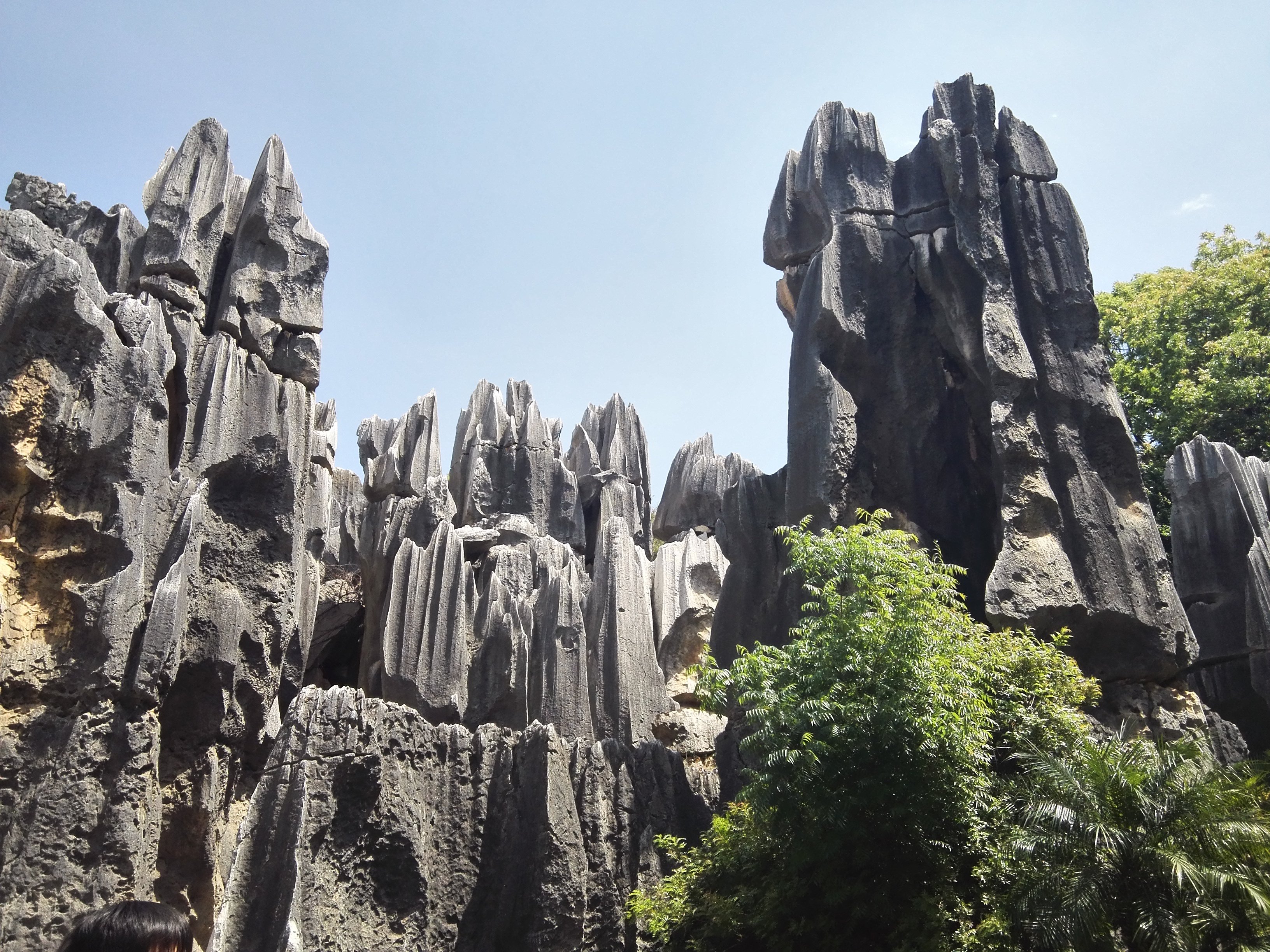 大石林里面的石头基本上都是光秃秃的,看的久了,会觉得有点审美疲劳