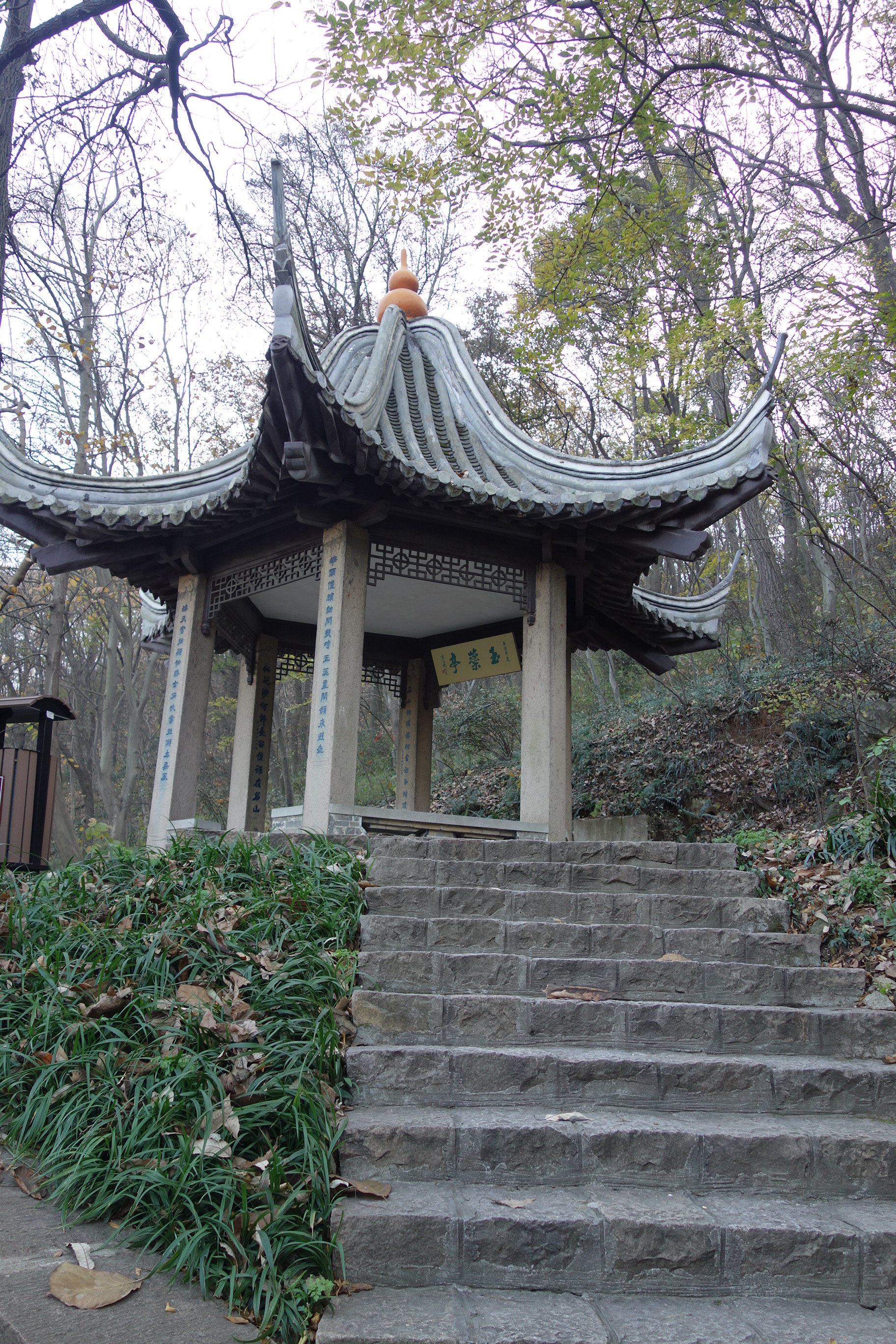 玉蕊亭 南山