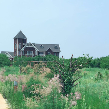 河北唐山乐亭浅水湾,菩提岛,两日游!