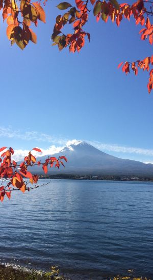 【携程攻略】东京出发富士山一日游-用车租车