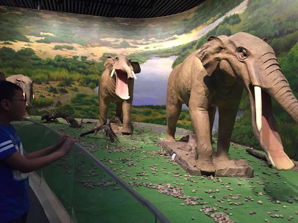 偷得半日闲游和政