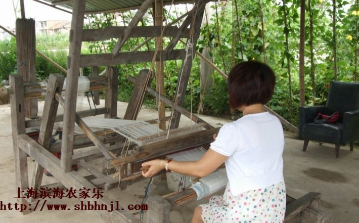 上海周边游：探索城市之外的美好风光