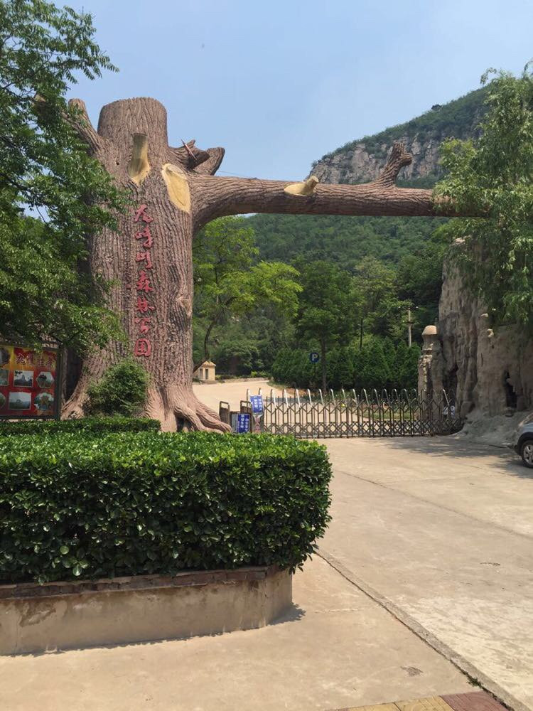 九峰山