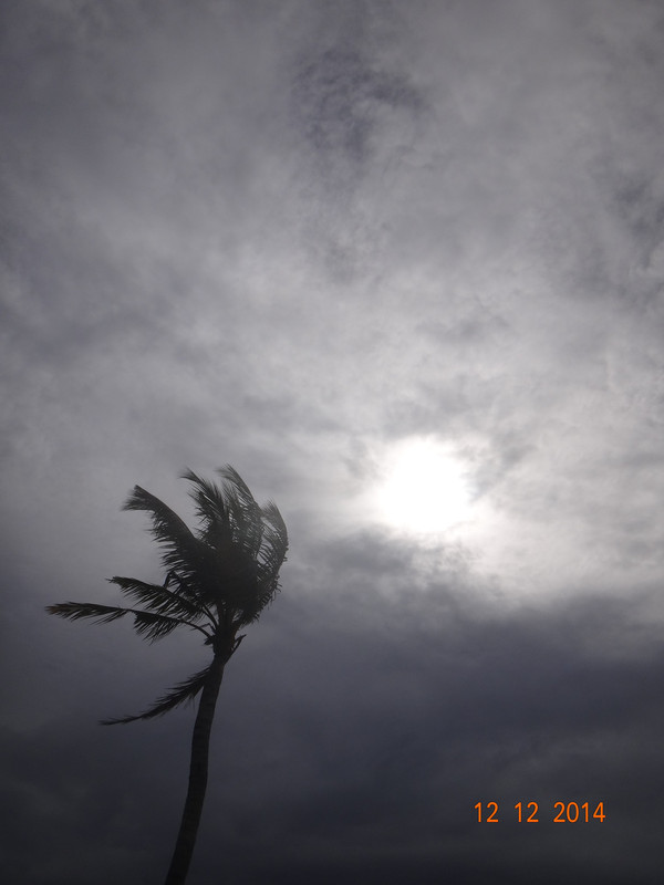 上午还仅仅只是乌云,到了下午就变成了狂风骤雨了,心情跌入谷底
