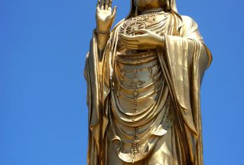 宁波舟山普陀山一日游【甄选经典线路.祈福许愿还愿观海两不误】【[精心安排]许愿、还愿必到精华景点。精选专线导游带领讲解陪同！】