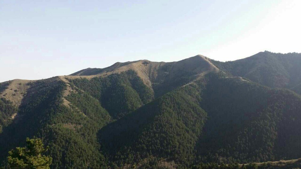 罗山自然保护区