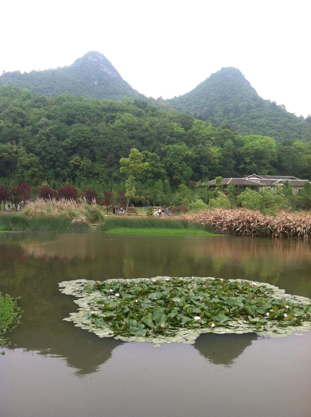 五一前独自暴走黔湘(上—贵州篇,附黔东南州主要景点及交通