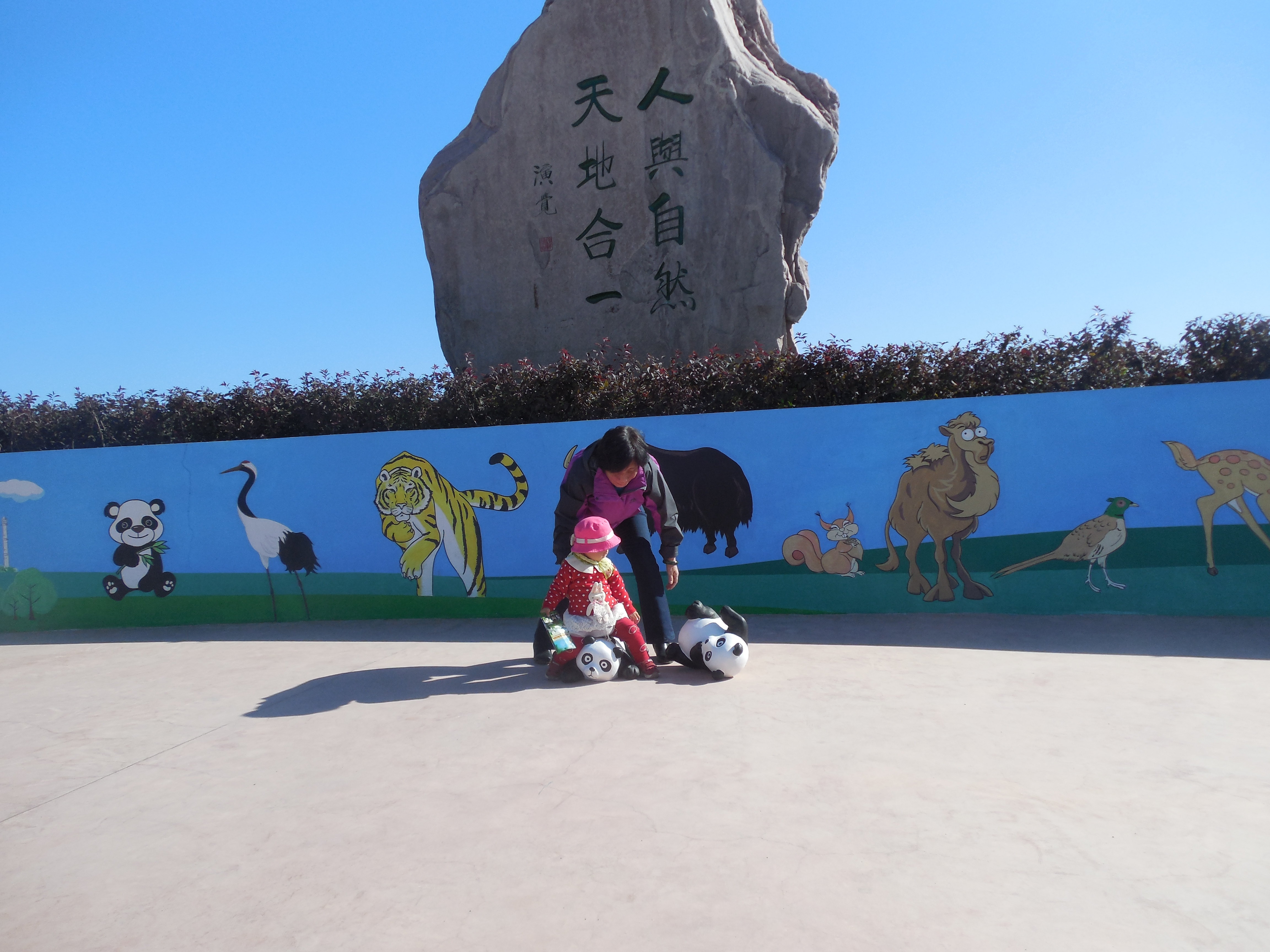 齊齊哈爾市龍沙動植物園感悟:孩子流連,大人休閒;親近自然,呵護家園