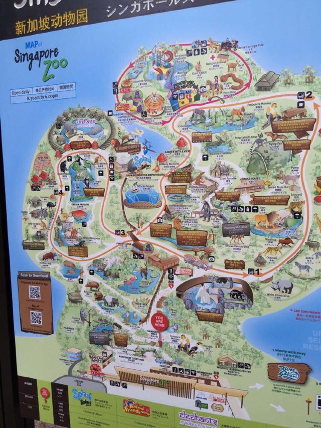 新加坡日间动物园地图图片