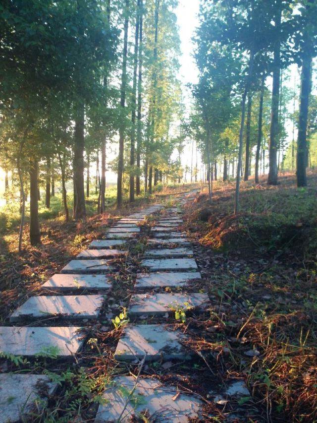田关水利休闲度假区