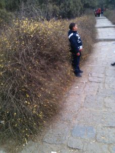 【携程攻略】新乡百泉湖景区图片,新乡百泉湖