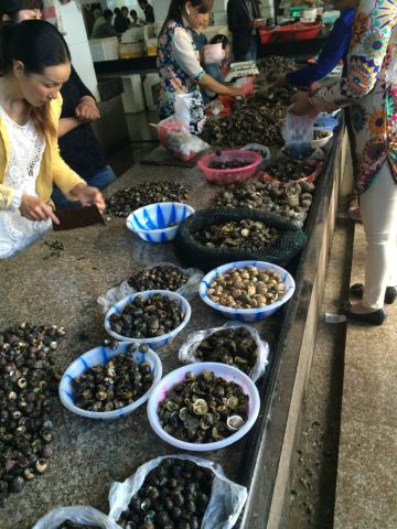 2015枸杞岛全攻略——so easy ,so happy !