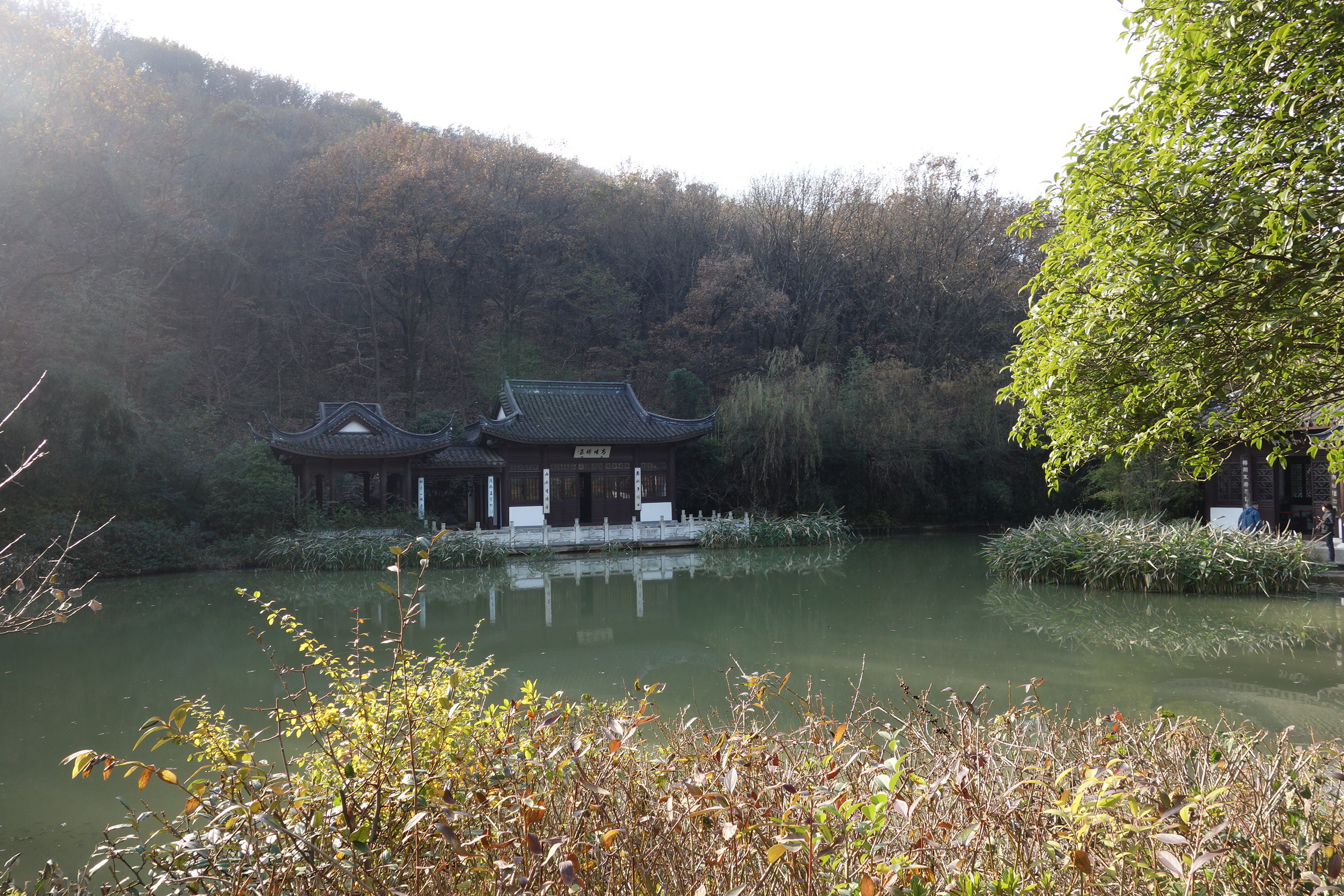 招隐景区是比较成熟的风景区,虽然已是深秋,园子里仍然林木葱茏,泉水