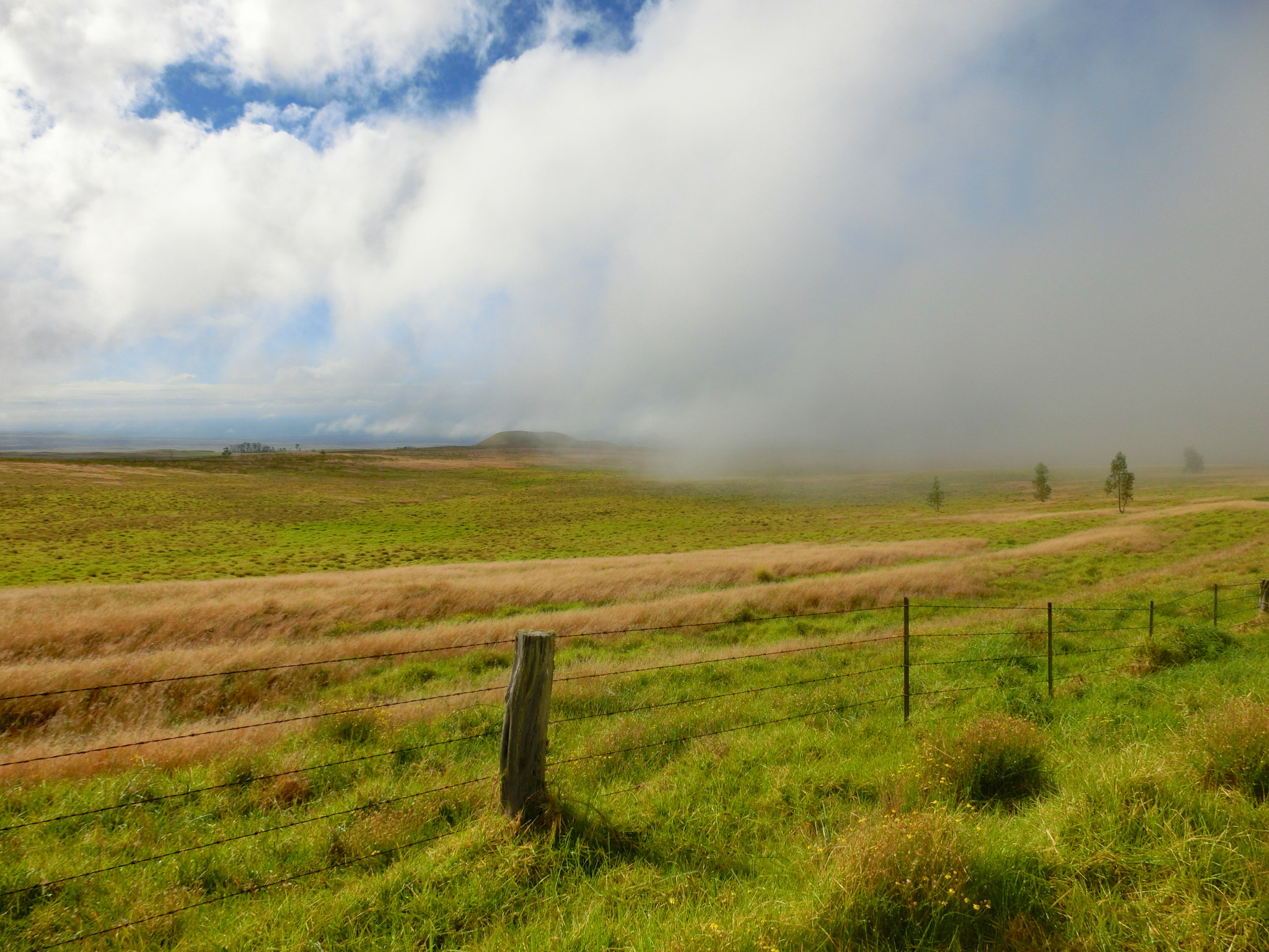 是整条公路都在云层之上,窗外是一望无际的大草原和云海,光线通透豁亮