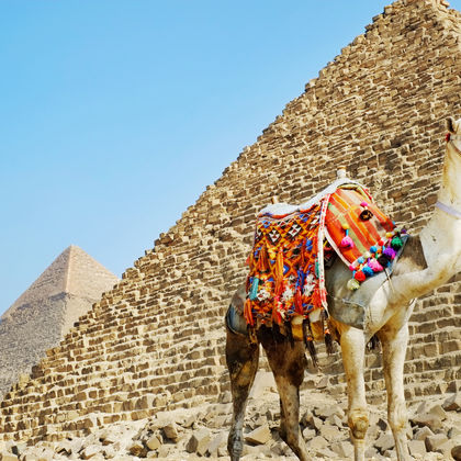 埃及胡夫金字塔+狮身人面像+埃及博物馆+尼罗河一日游