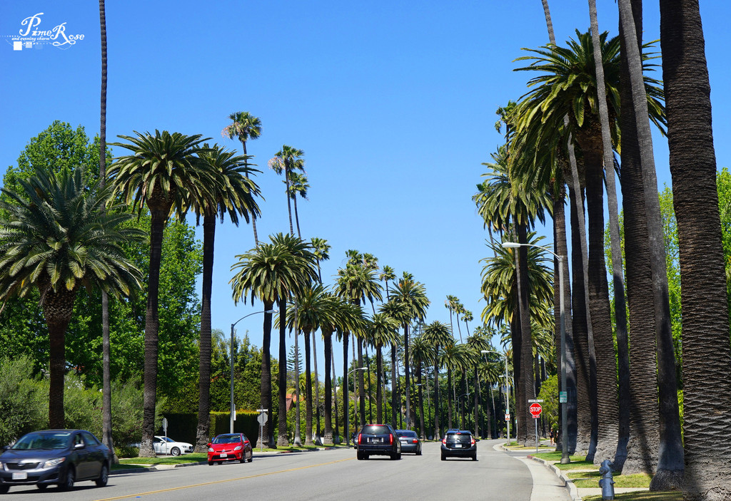 横冲直撞美利坚--18天美东美西自驾之旅 - 华盛顿游记攻略【携程攻略