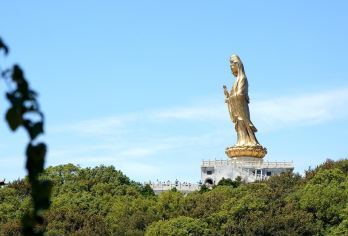 浙江舟山普陀山风景区跟团纯玩1日游【许愿还愿，纯玩无自费，天天发团，一人也成行】