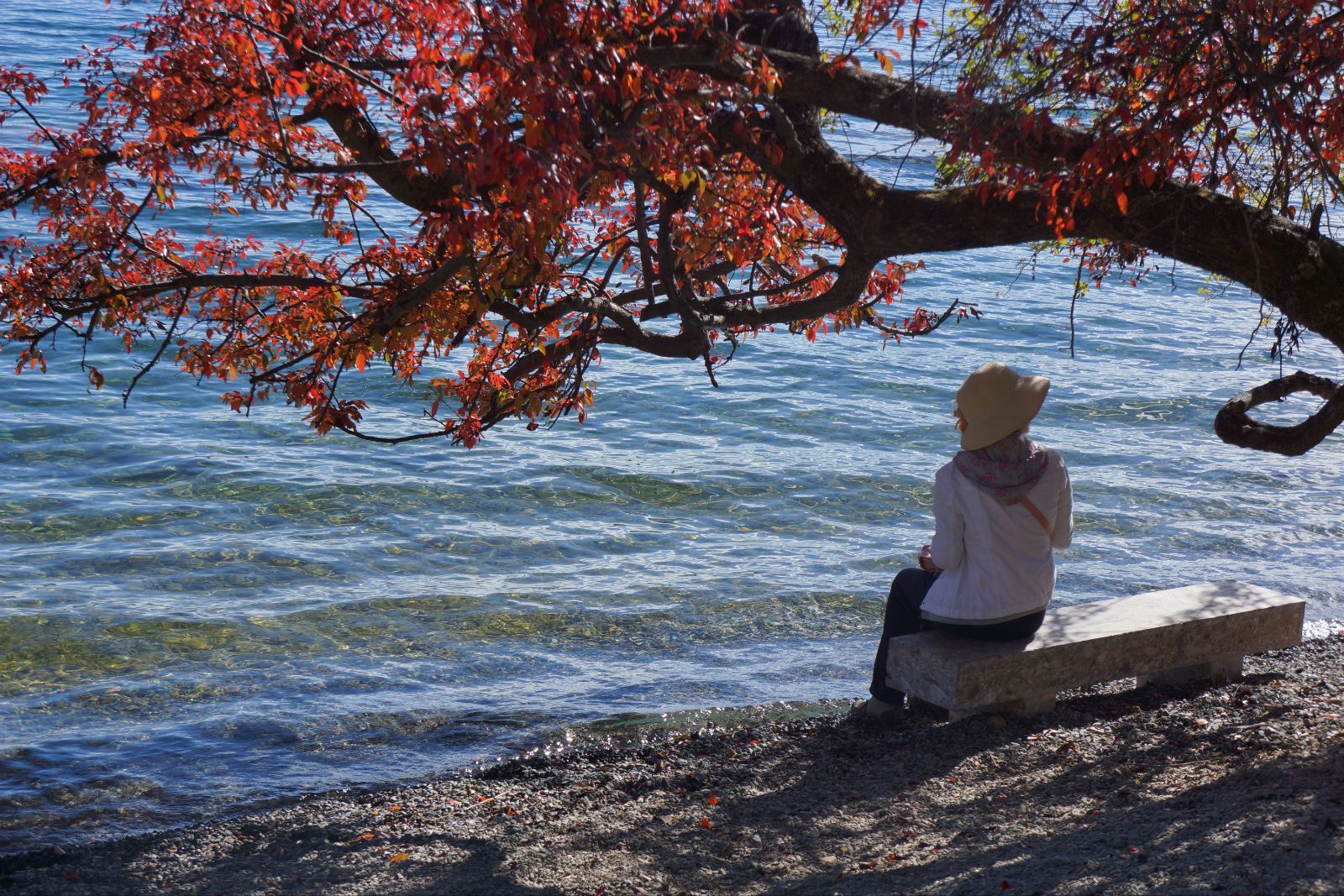 留恋丽江,香格里拉,泸沽湖