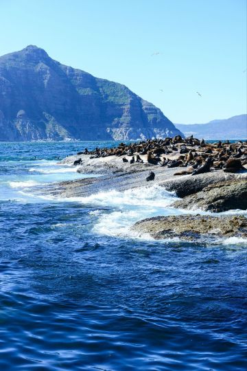 非洲 我的冬天你的夏天 南非篇(1)(1)